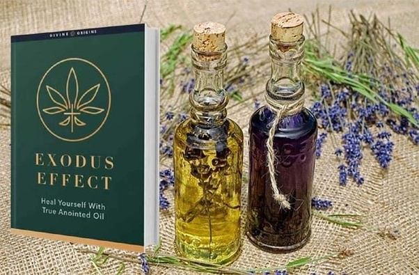 Exodus Effect Holy Book Oil Scam or Real? Before buying, Read the Complete Info Here!
