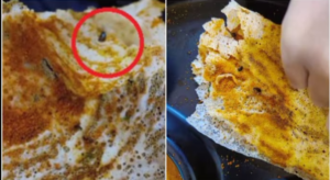 8 cockroaches found in dosa served at Delhi’s Madras Coffee House,