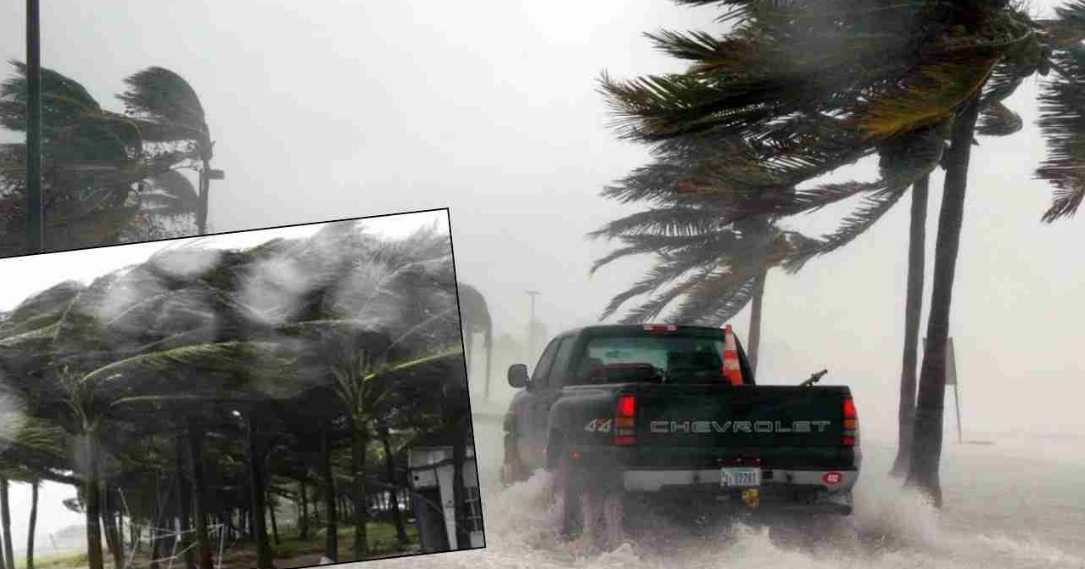 Tropical storm Tapah hits southern China: 60,000 evacuated, 100 flights cancelled